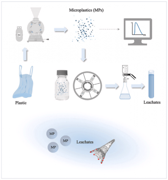 lixiviationMicronizedAquaticToxicityTestingProtocal.png